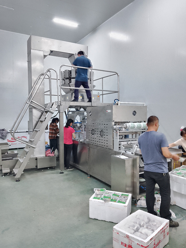 Latest company blogs about The installation of the Multi-head Scale Conveyor MAP Modified Atmosphere Packaging Machine for Fresh Mushroom