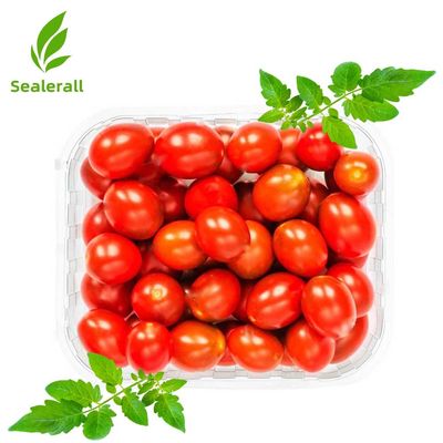 comprar Sealerall MAP Tray Sealer para tomates pequeños 10-12 bandejas de paquete Fabricación en línea